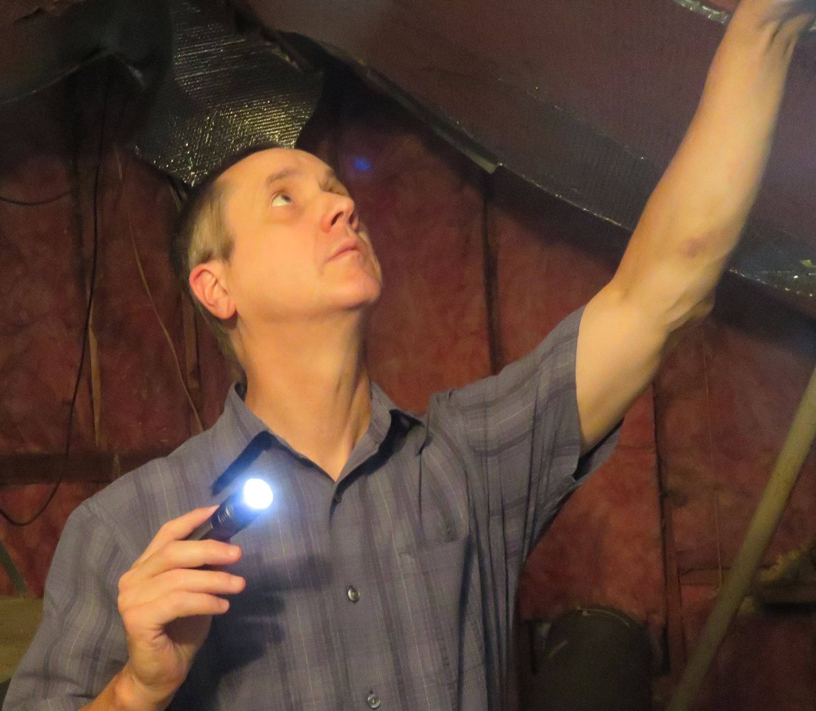 Attic inspection